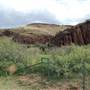 Hwy 118 South of Fort Davis