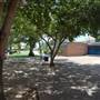 McCallum High School