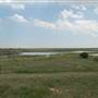 Muleshoe National Wildlife Refuge