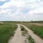 Muleshoe National Wildlife Refuge