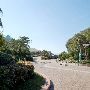 Moody Gardens