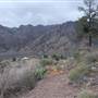 Big Bend National Park - Window Trail