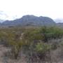 Big Bend National Park - Ward Springs Trail