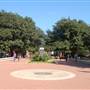 Baylor University