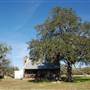 Wiseman Farm