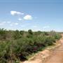 Brazos River at W. Lincoln St.