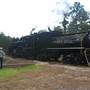 Texas State Railroad - 1901 Steam Train