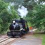 Texas State Railroad - 1901 Steam Train