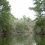 Lake Bastrop