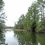 Lake Bastrop
