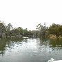 Lake Bastrop