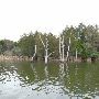 Lake Bastrop