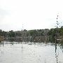 Lake Bastrop