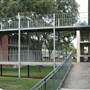 Trinity University - Albert Herff- Beze Hall