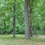 Huntsville State Park