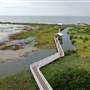 South Padre Island Birding and Nature Center & Alligator Sanctuary