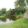South Padre Island Birding and Nature Center & Alligator Sanctuary