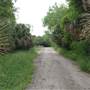 Sabal Palm Sanctuary