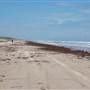Boca Chica Beach & Dunes
