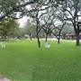 Trinity University