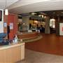 Trinity University