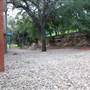 Trinity University