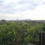 Trinity University