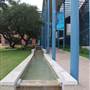 Trinity University