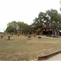 Old Glory Ranch