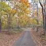Davey Dogwood Park