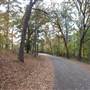 Davey Dogwood Park