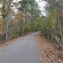 Davey Dogwood Park