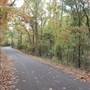 Davey Dogwood Park