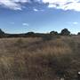 Old Ponderosa Ranch