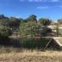 Old Ponderosa Ranch
