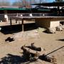 Animal World and Snake Farm