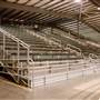 Young County Arena