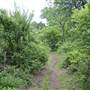Cedar Hill State Park