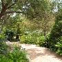 Zilker Botanical Gardens
