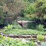 Zilker Botanical Gardens