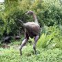 Zilker Botanical Gardens