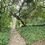 Zilker Botanical Gardens