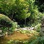 Zilker Botanical Gardens