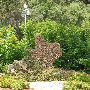 Zilker Botanical Gardens