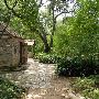 Zilker Botanical Gardens