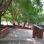 Buffalo Bayou