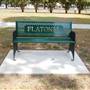 Flatonia