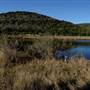 Madrone Ranch