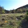 Madrone Ranch