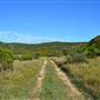 Madrone Ranch